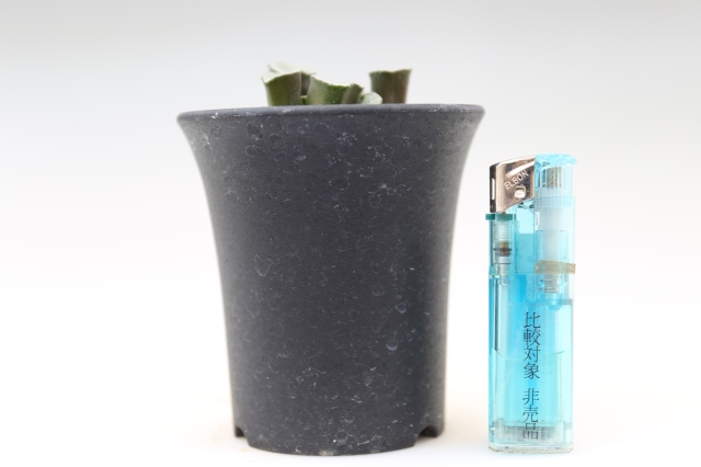  サイズ比較画像2