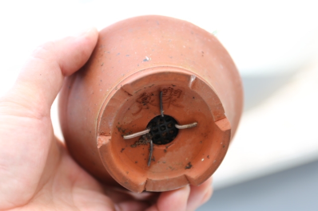 商品画像７鉢裏