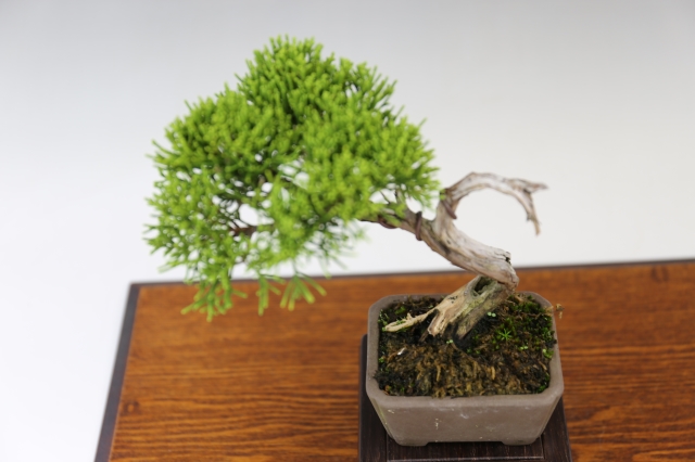 商品画像３斜め４５度
