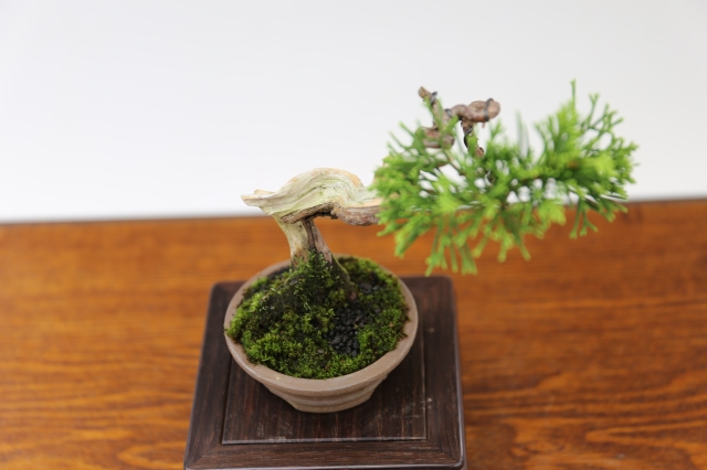 商品画像３斜め４５度