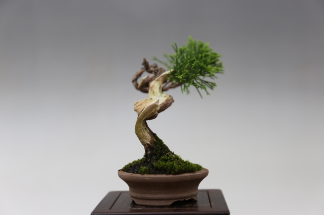 商品画像４サイド