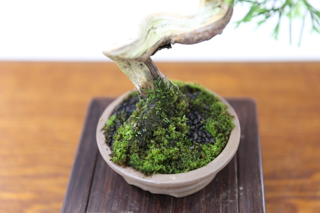 商品画像６根元