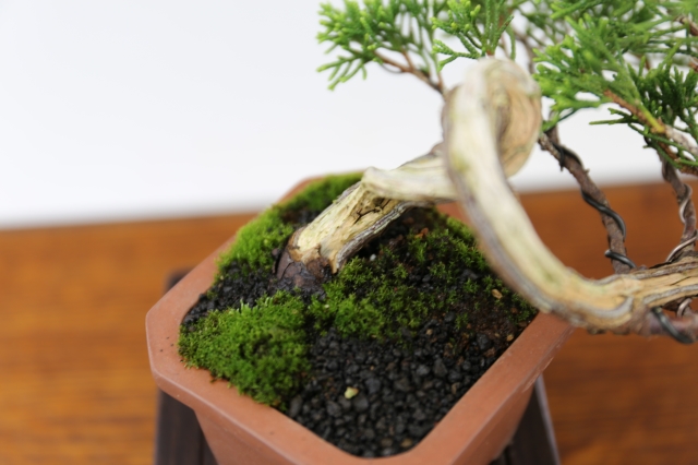 商品画像６根元