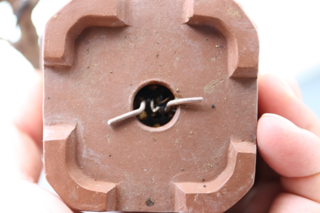 商品画像７鉢裏