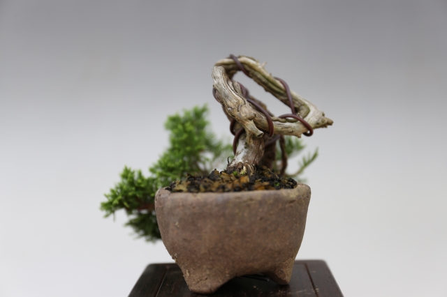 商品画像４サイド