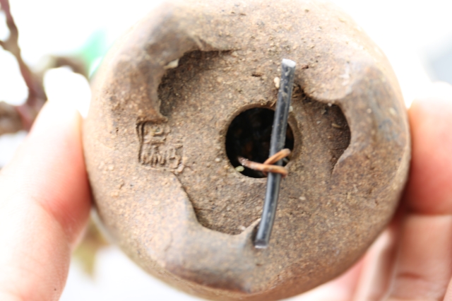 商品画像７鉢裏