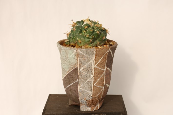 象牙丸モンスト