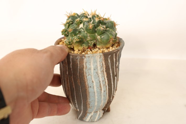 象牙丸モンスト