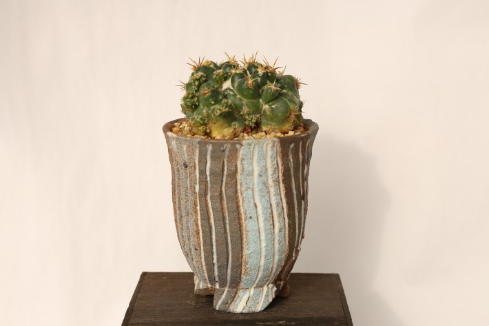 象牙丸モンスト