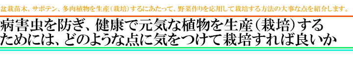 病害虫予防について