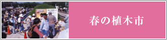 春の植木市会場での店頭販売