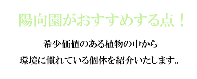 陽向園がおすすめする点。