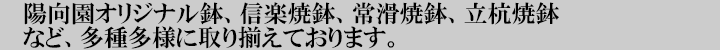 陽向園オリジナル鉢付き