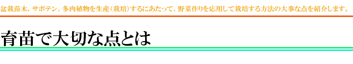 育苗で大切な点とは