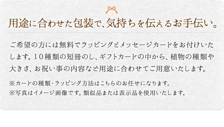 ご希望の方には無料でラッピングとメッセージカードをお付けいたします。※カードの種類・ラッピング方法はこちらのお任せになります。※写真はイメージ画像です。類似品または表示品を使用いたします。