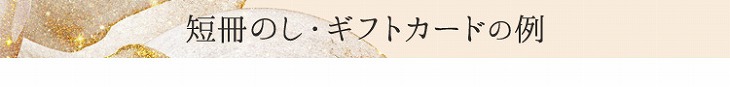 短冊のし・ギフトカードの例
