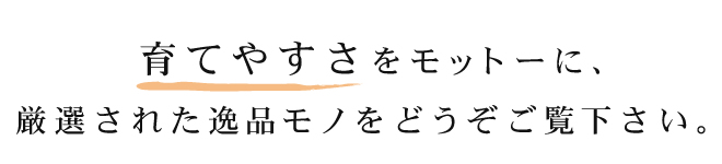 育てやすさをモットーに、厳選された逸品モノをどうぞご覧ください。