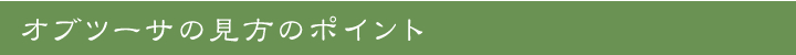 オブツーサの見方のポイント