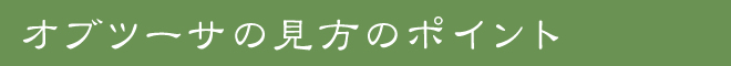 オブツーサの見方のポイント