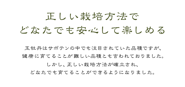 正しい栽培方法で
どなたでも安心して楽しめる 玉牡丹