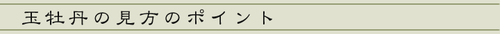 玉牡丹の見方のポイント