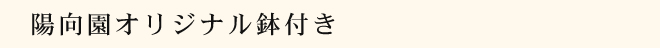 陽向園オリジナル鉢付き