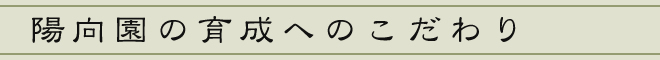 陽向園の育成へのこだわり