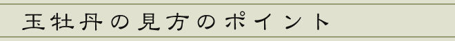 玉牡丹の見方のポイント