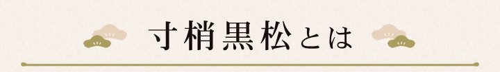 寸梢黒松とは