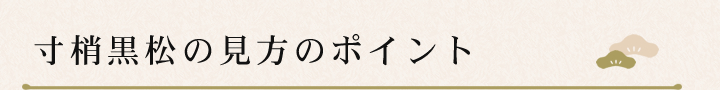 寸梢黒松の見方のポイント