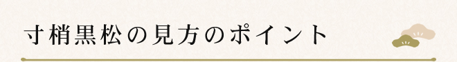 寸梢黒松の見方のポイント