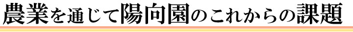 農業を通じて陽向園のこれからの課題