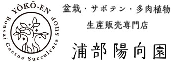 盆栽・サボテン・多肉植物の通販　生産販売専門店　浦部陽向園