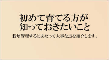 知っておきたいこと