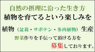 自然の摂理に沿った生き方バナー