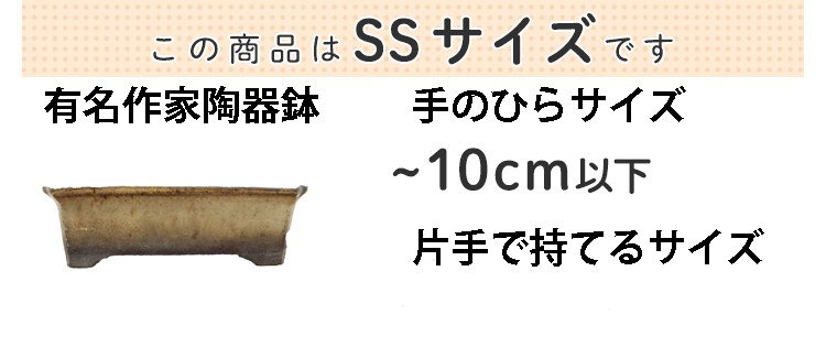 ssサイズ