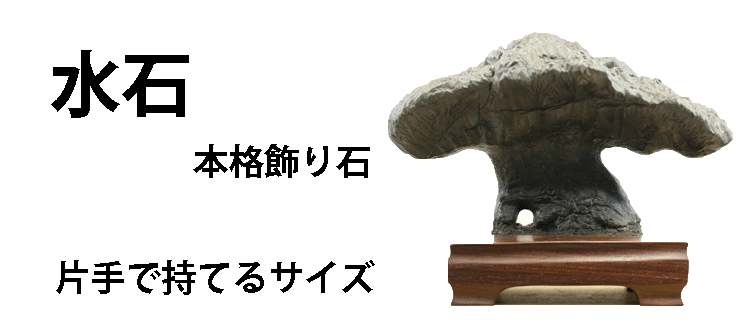 sサイズ