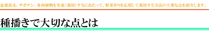 種まき