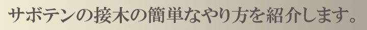 サボテンの接木のやり方